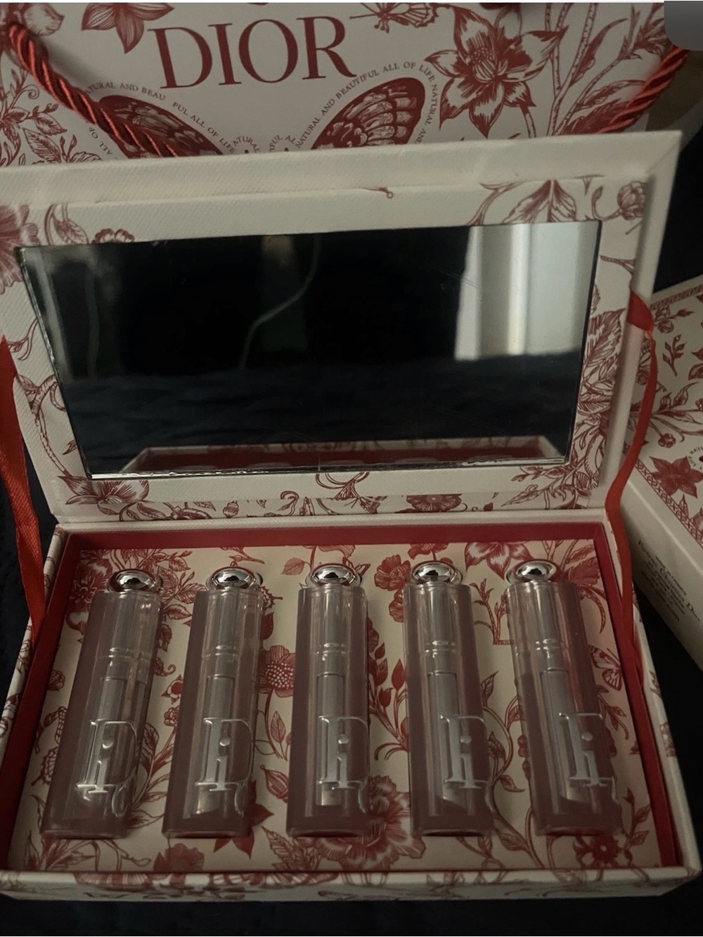 Dior Lipstick Collection in Rose and Silver Hues